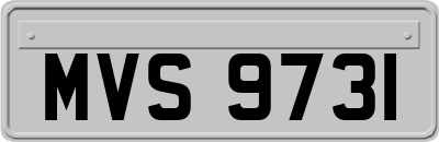 MVS9731