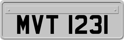 MVT1231