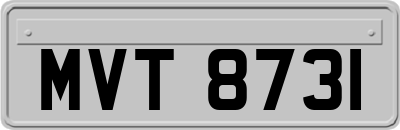 MVT8731