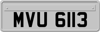 MVU6113