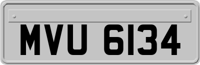 MVU6134