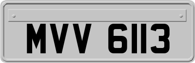 MVV6113