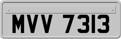 MVV7313