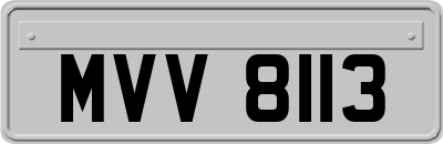 MVV8113