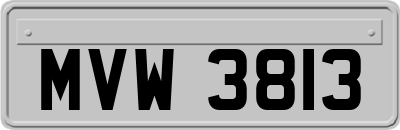 MVW3813