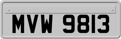 MVW9813