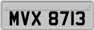 MVX8713