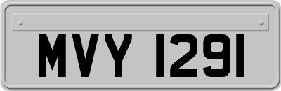 MVY1291