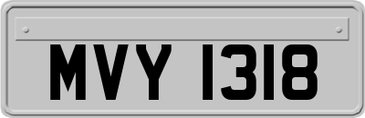 MVY1318