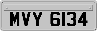 MVY6134