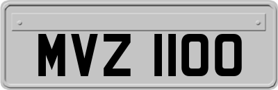 MVZ1100