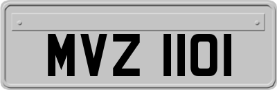 MVZ1101