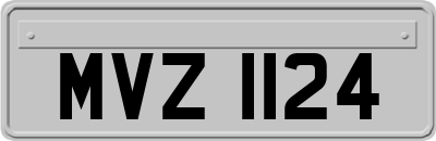 MVZ1124