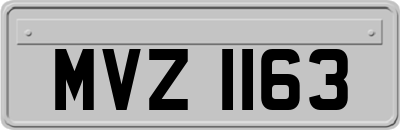 MVZ1163