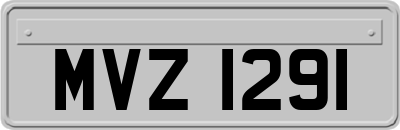 MVZ1291