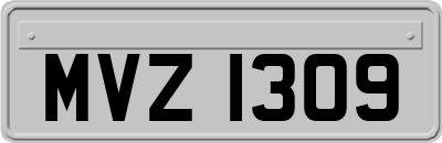 MVZ1309