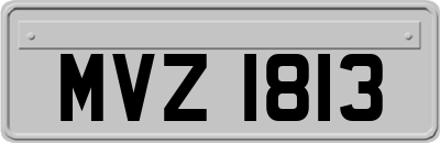 MVZ1813