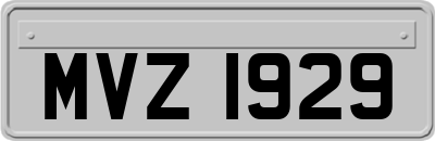 MVZ1929