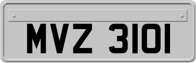 MVZ3101