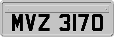 MVZ3170