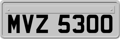 MVZ5300