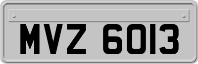 MVZ6013