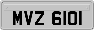 MVZ6101