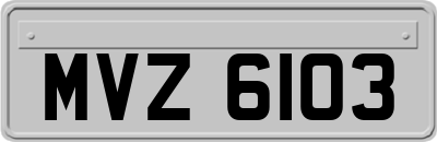 MVZ6103