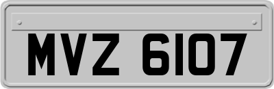 MVZ6107