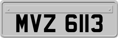 MVZ6113