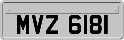 MVZ6181