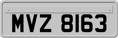 MVZ8163