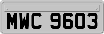 MWC9603