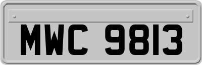 MWC9813