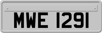 MWE1291