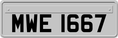 MWE1667