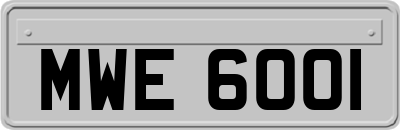 MWE6001