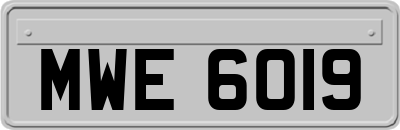 MWE6019