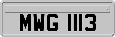 MWG1113