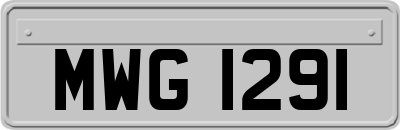 MWG1291