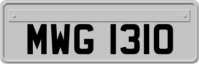 MWG1310