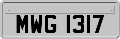 MWG1317