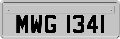 MWG1341