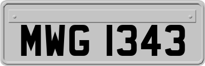 MWG1343