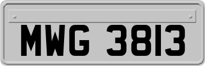 MWG3813