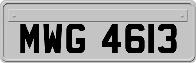 MWG4613