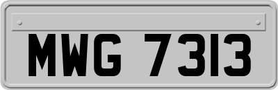 MWG7313