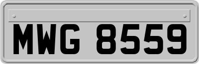 MWG8559