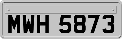 MWH5873