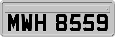 MWH8559